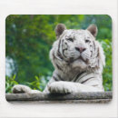 Search for tiger mousepads White