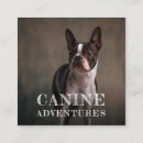 Search for dog walker business cards Modern