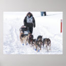 Search for sled art Mushing