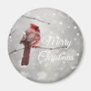 Search for merry christmas magnets Beautiful
