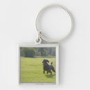 Search for poodle key rings Vertical
