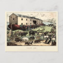 Search for noah postcards Bible