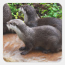 Search for cute otter stickers Wildlife