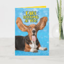 Search for looking cards Dog