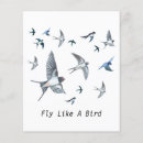 Search for illustrator flyers Animal