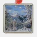 Search for yellowstone park christmas tree decorations Usa