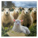 Search for flocking tiles Sheep