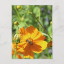 Search for two bees postcards Flower