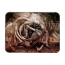 Search for horror cards Skulls