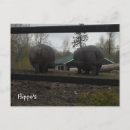 Search for funny hippo birthday cards Hippos