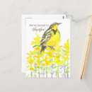 Search for nebraska postcards Cornhusker state