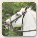 Search for equine coasters Riding