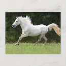 Search for gallop postcards Thoroughbred