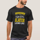 Search for slater Job