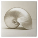 Search for sea tiles White