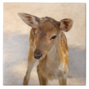 Search for deer tiles Fawn