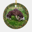 Search for ostrich christmas tree decorations Nature