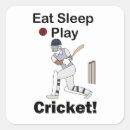 Search for stump stickers Cricket lover