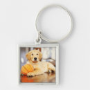 Search for golden retriever key rings Cute