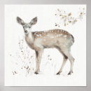 Search for fawns posters Woodland