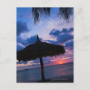 Search for aruba vacation postcards Sky