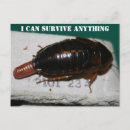 Search for survived postcards Covid