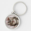 Search for eye closed rounded key rings Kitten