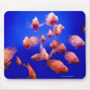 Search for fish school mousepads Sea