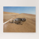 Search for chameleons puzzles Nature