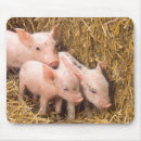 Search for hay mousepads Straw