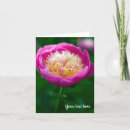 Search for floral sympathy thank you cards Flowers