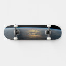 Search for beam skateboards Natural world