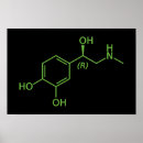 Search for adrenaline posters Sports