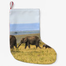 Search for elephants christmas stockings Nature