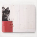 Search for bucket mousepads Studio shot