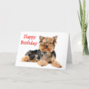 Search for yorkshire terrier dog birthday cards Yorkie