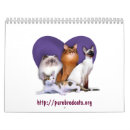 Search for rescue calendars Cat