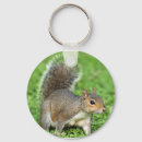 Search for squirrel key rings Grey