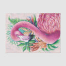 Search for funny tissue paper Bird