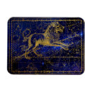 Search for leo magnets Zodiac
