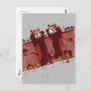 Search for panda postcards Jungle