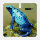 Search for dart christmas tree decorations Amphibian