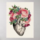 Search for anatomical heart art Biology