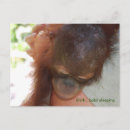 Search for babys daddy postcards Animals