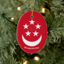 Search for asia christmas tree decorations Singapore