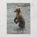 Search for seeing postcards Wildlife