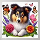 Search for sheepdogs posters Shetland sheepdog
