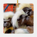 Search for cute monkey christmas tree decorations Wildlife