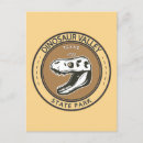 Search for texas state postcards Souvenir