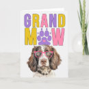 Search for springer cards Pets